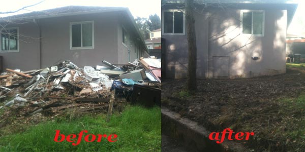 Waste Removal Before and After