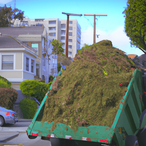 Reliable Yard Waste Removal in San Francisco