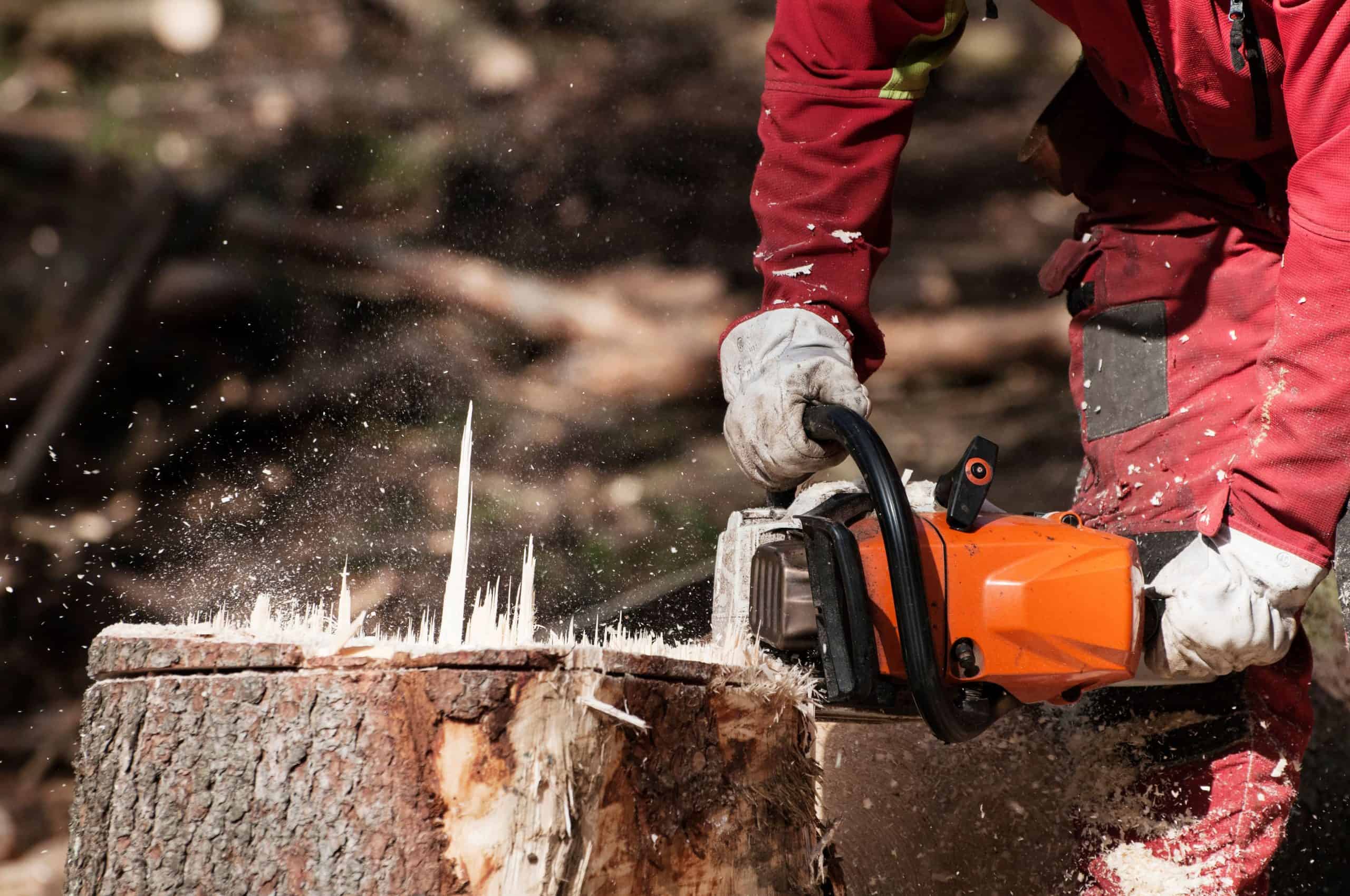 A person in red protective clothing and gloves uses an orange chainsaw to cut through a tree trunk, with wood chips flying&mdash;perfect for CA junk removal in San Francisco County.