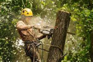 A person wearing a yellow helmet and safety gear uses a chainsaw to cut through a tree trunk, surrounded by flying sawdust and green foliage during a Junk Removal San Francisco County, CA project.