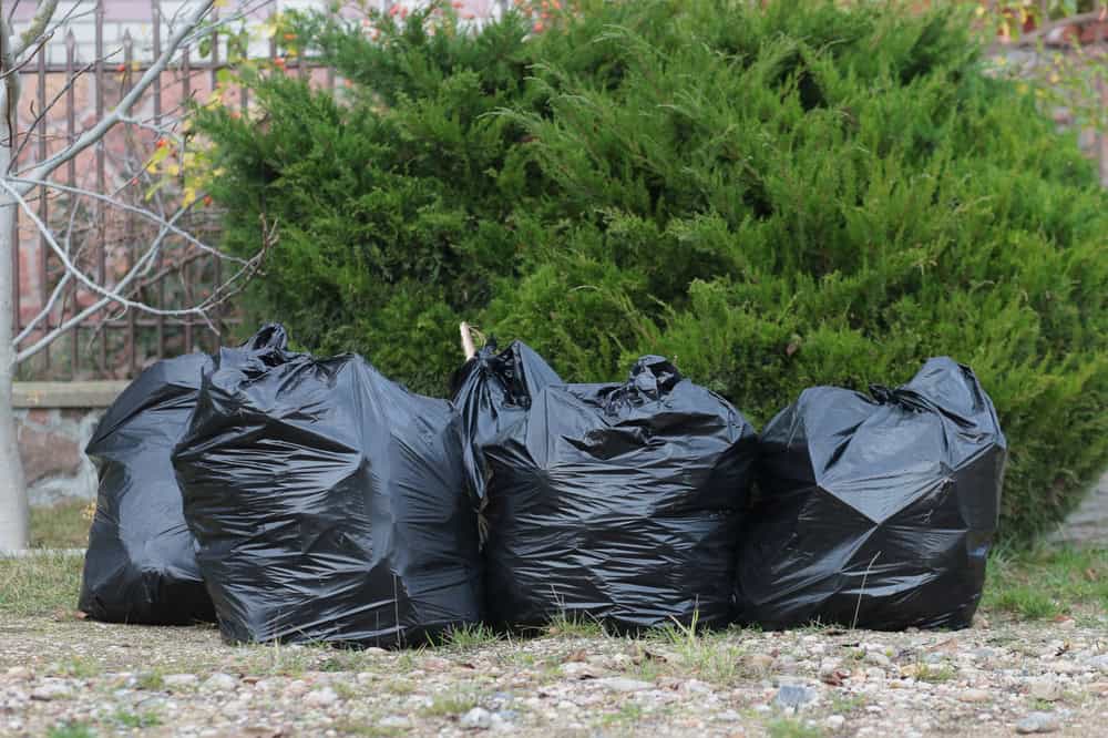 Four black garbage bags are neatly lined up on a patch of grass and rocks, with a large green bush and metal fence in the background. It's the perfect scene for efficient junk removal in San Francisco County, CA, where clutter can quickly become a thing of the past.